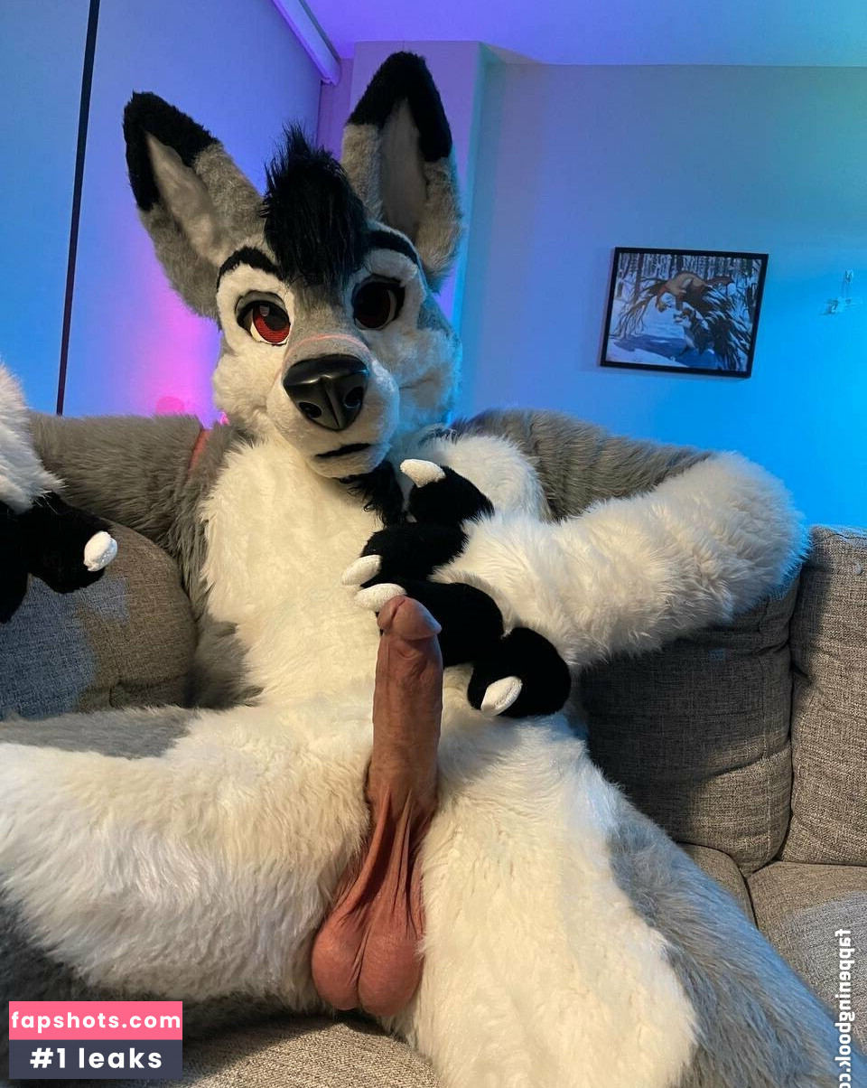 stallionwolf gallery photo #13