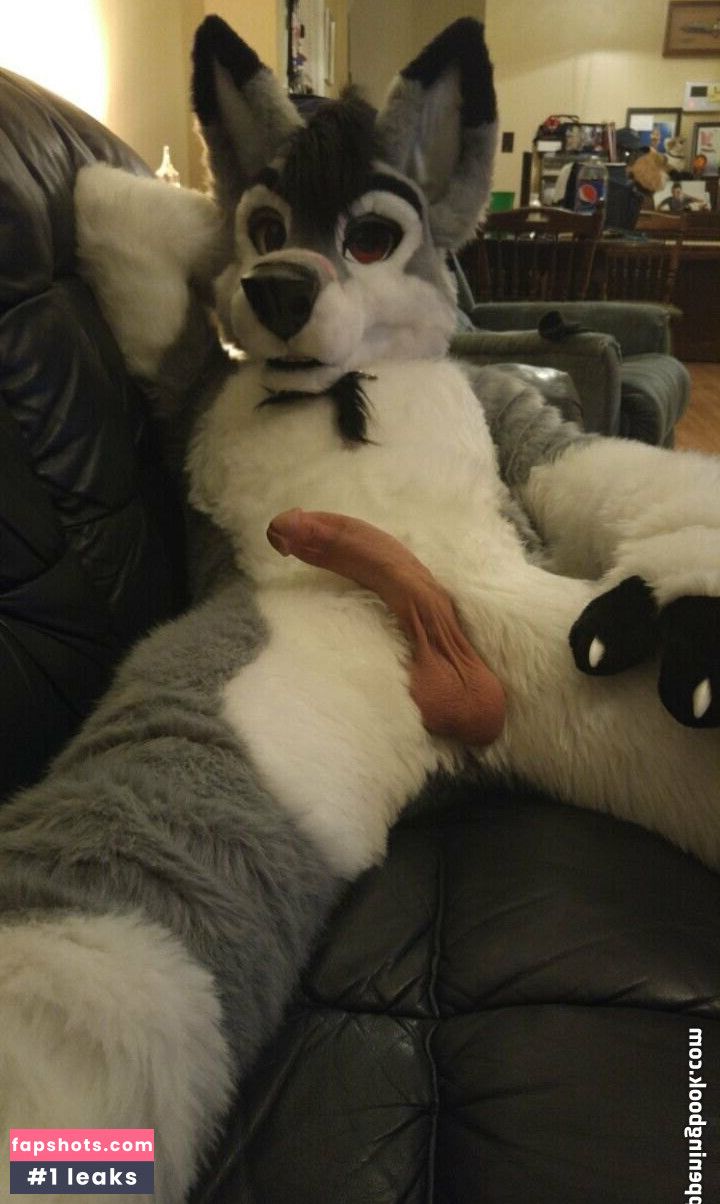 stallionwolf gallery photo #14