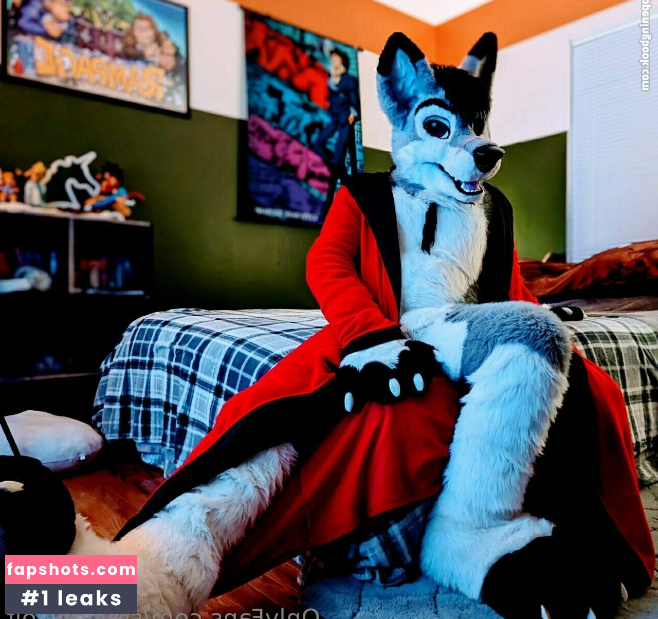 stallionwolf gallery photo #18