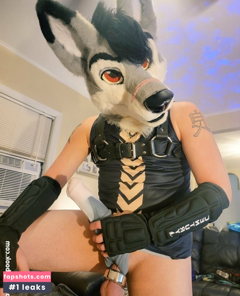 stallionwolf gallery photo #21