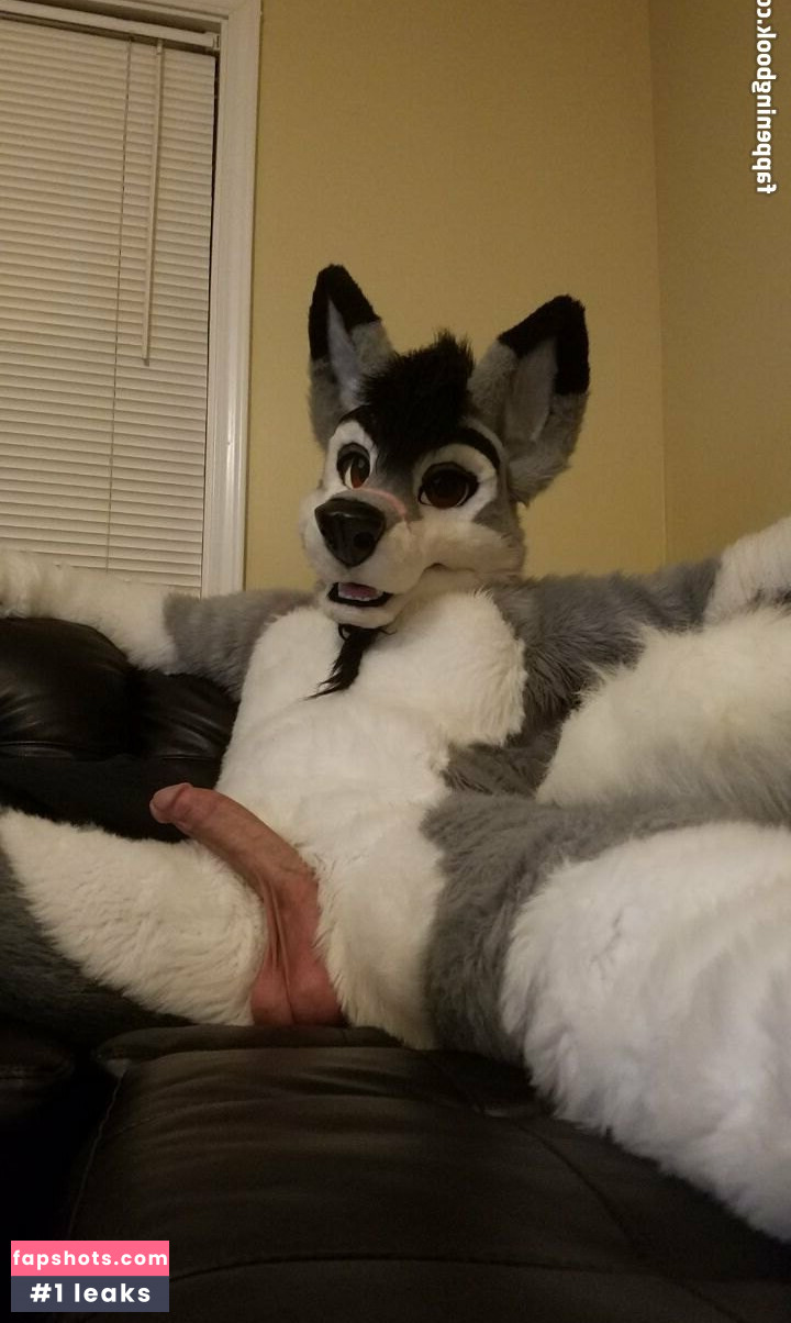 stallionwolf gallery photo #26