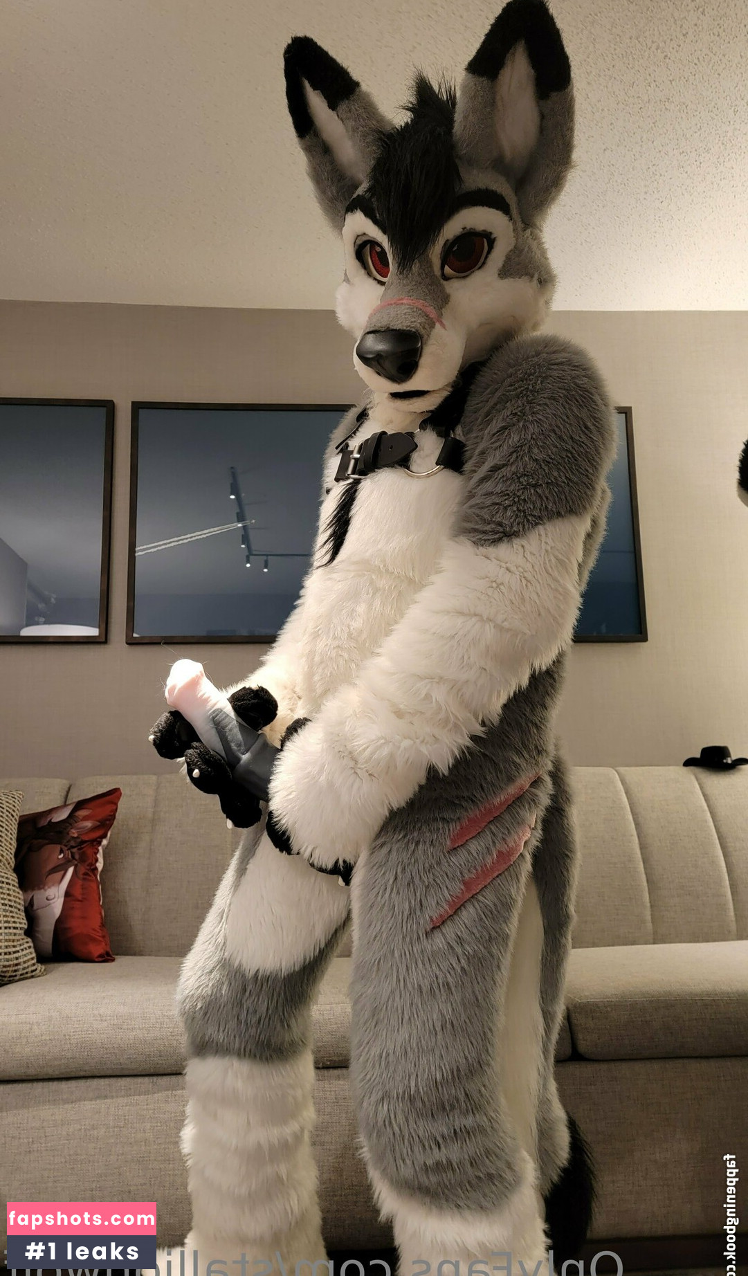 stallionwolf gallery photo #29