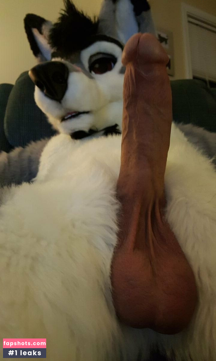 stallionwolf gallery photo #6