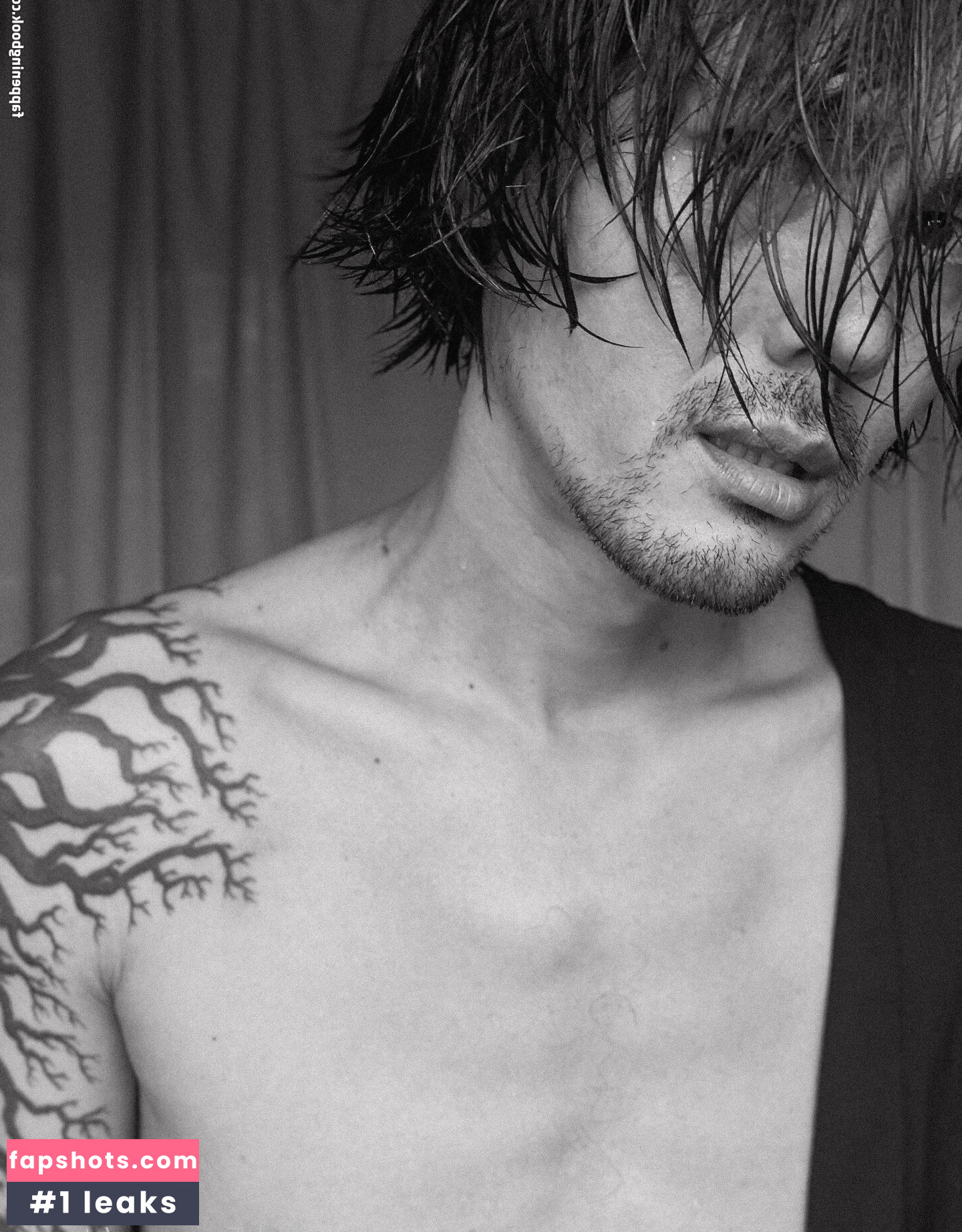 stansee gallery photo #3