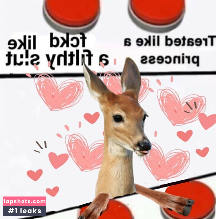 stargirl.6 gallery photo #17