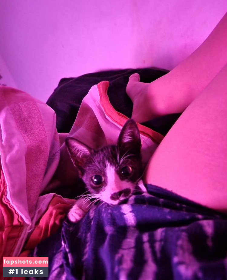 starlacosplay gallery photo #61