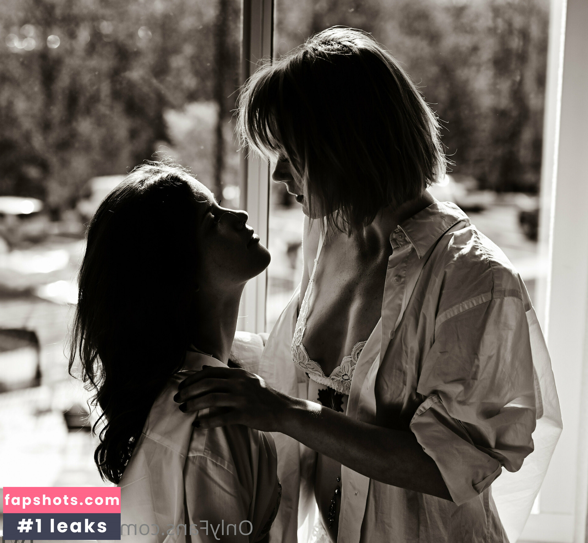 starshroom gallery photo #15