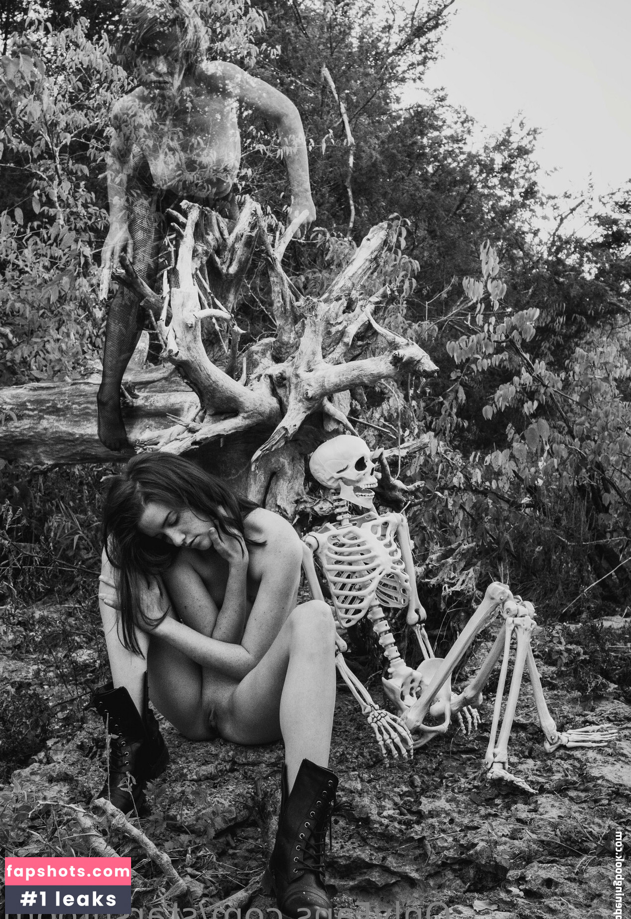 starshroom gallery photo #10