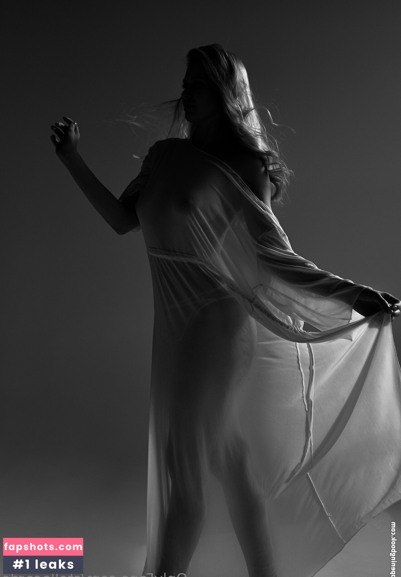 stellacardo gallery photo #21