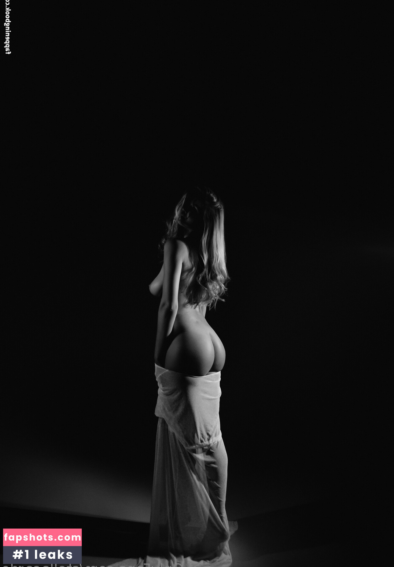 stellacardo gallery photo #37