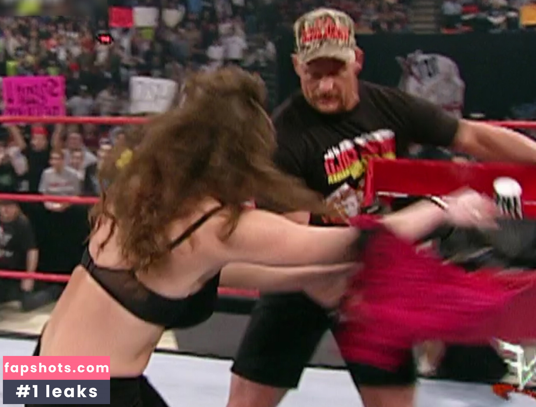 Stephanie McMahon Nahé úniky fotek pouze od fanoušků #45 - Fapshots