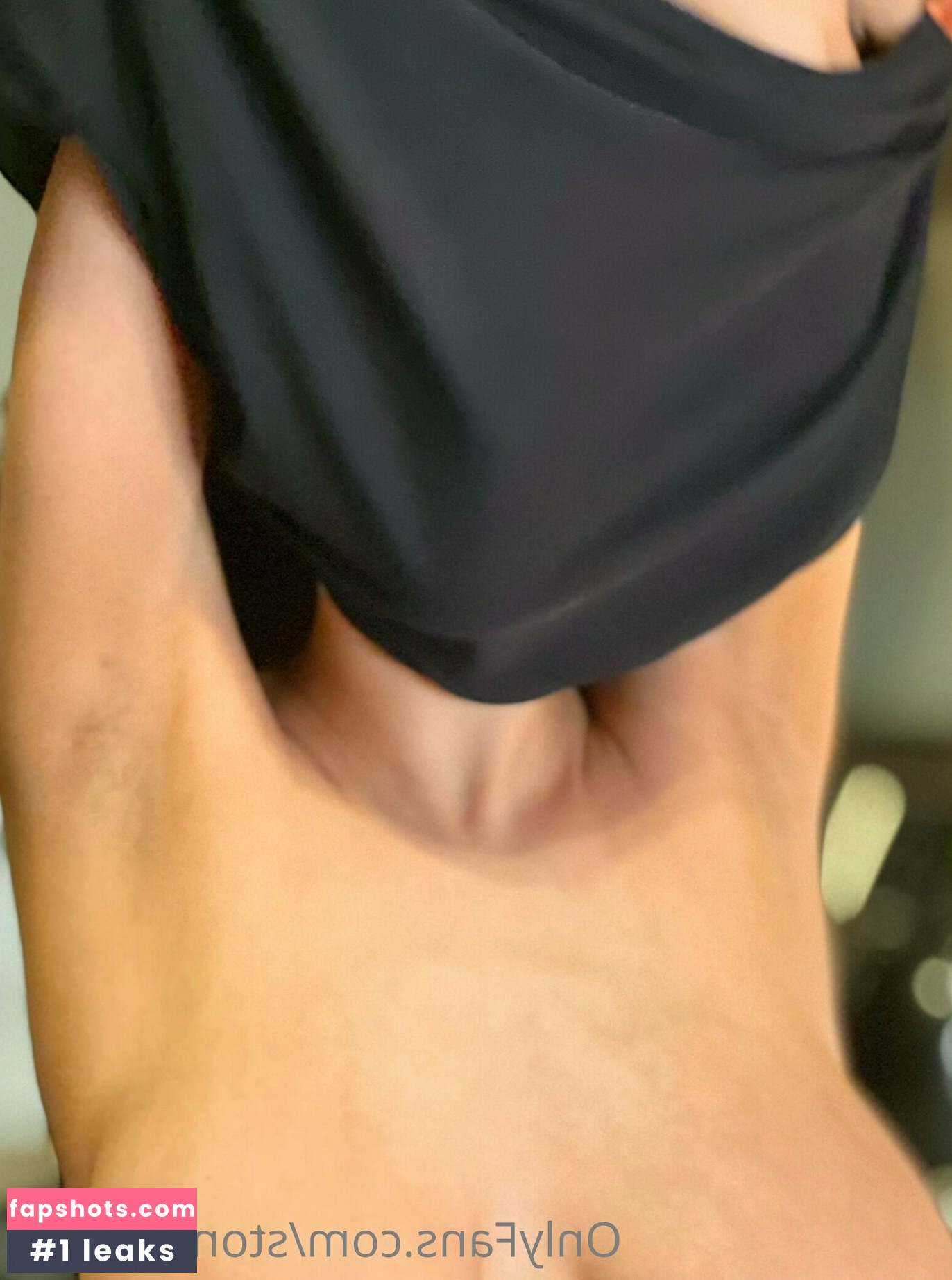 stonechillfox gallery photo #17