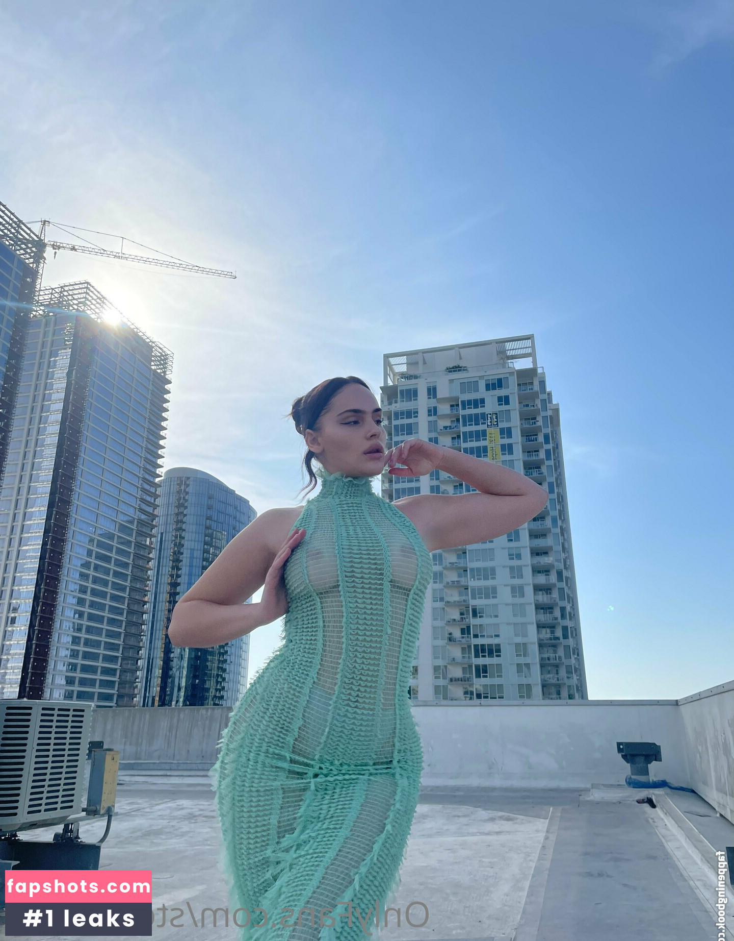 stormthrax gallery photo #22