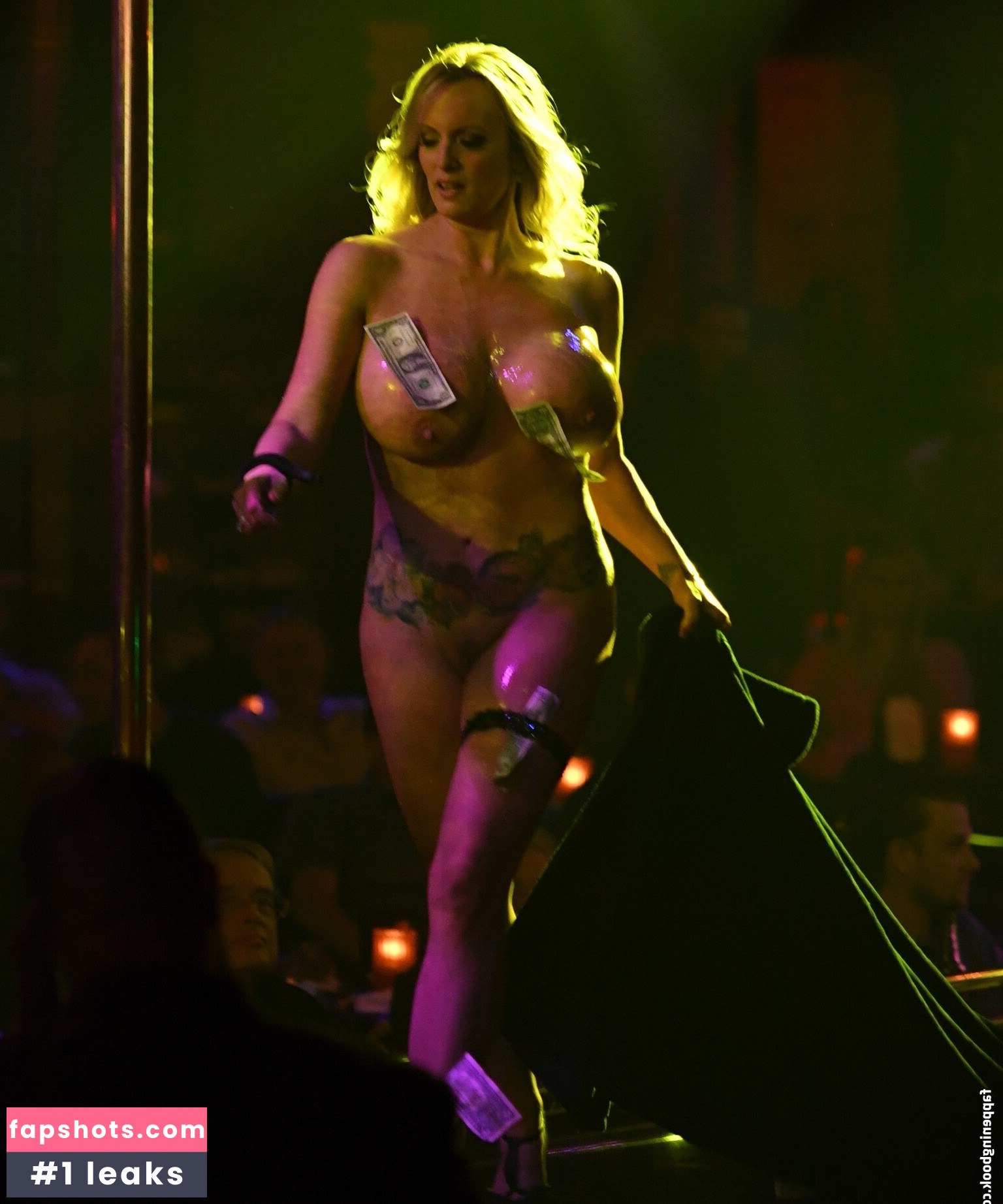 Stormy Daniels Nude Leaks OnlyFans Photos #260 - LeakJerk