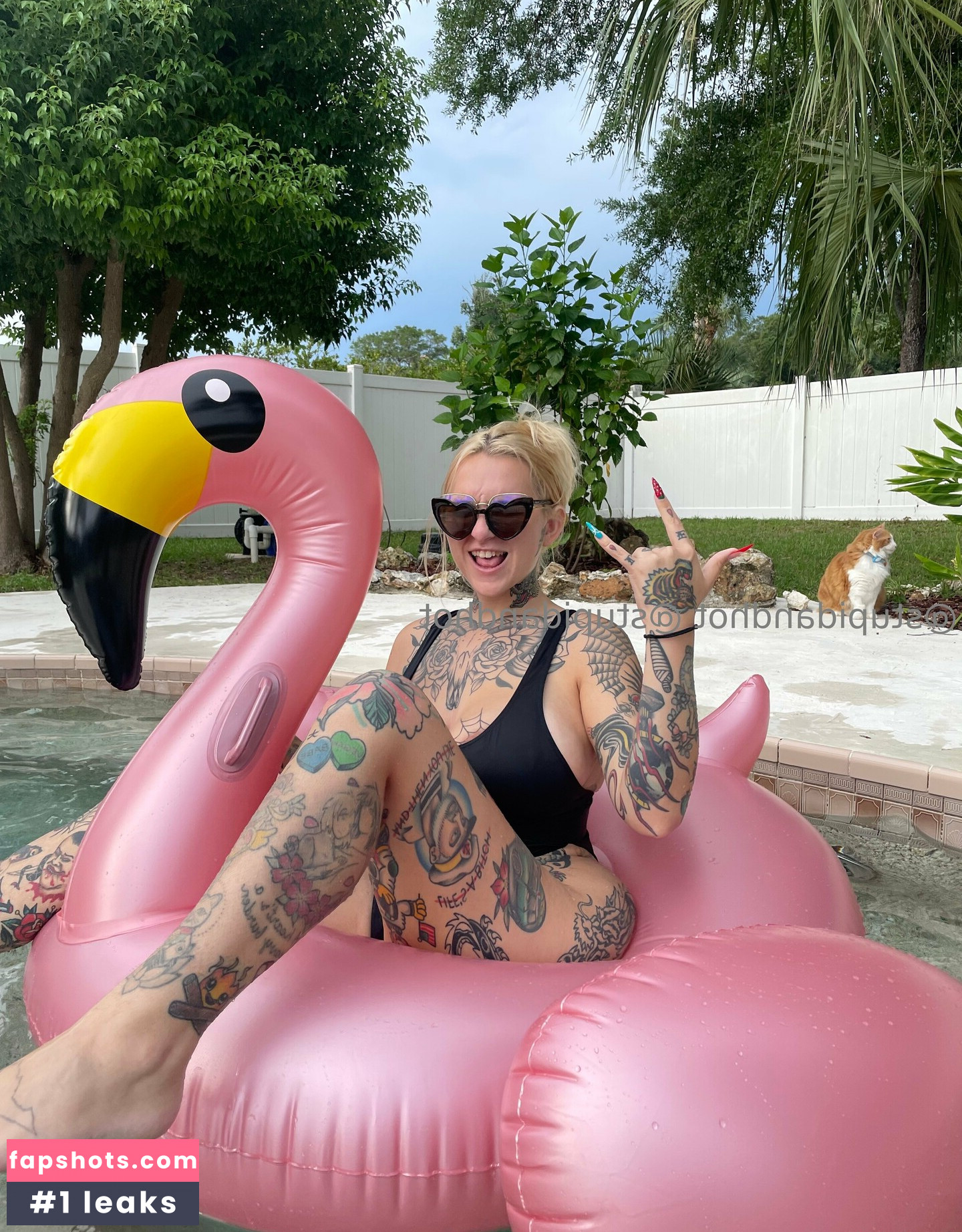 stupiderandhotter Nahé úniky fotek pouze od fanoušků #19 - Fapshots