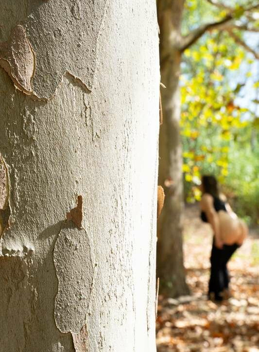 styxhips gallery photo #492