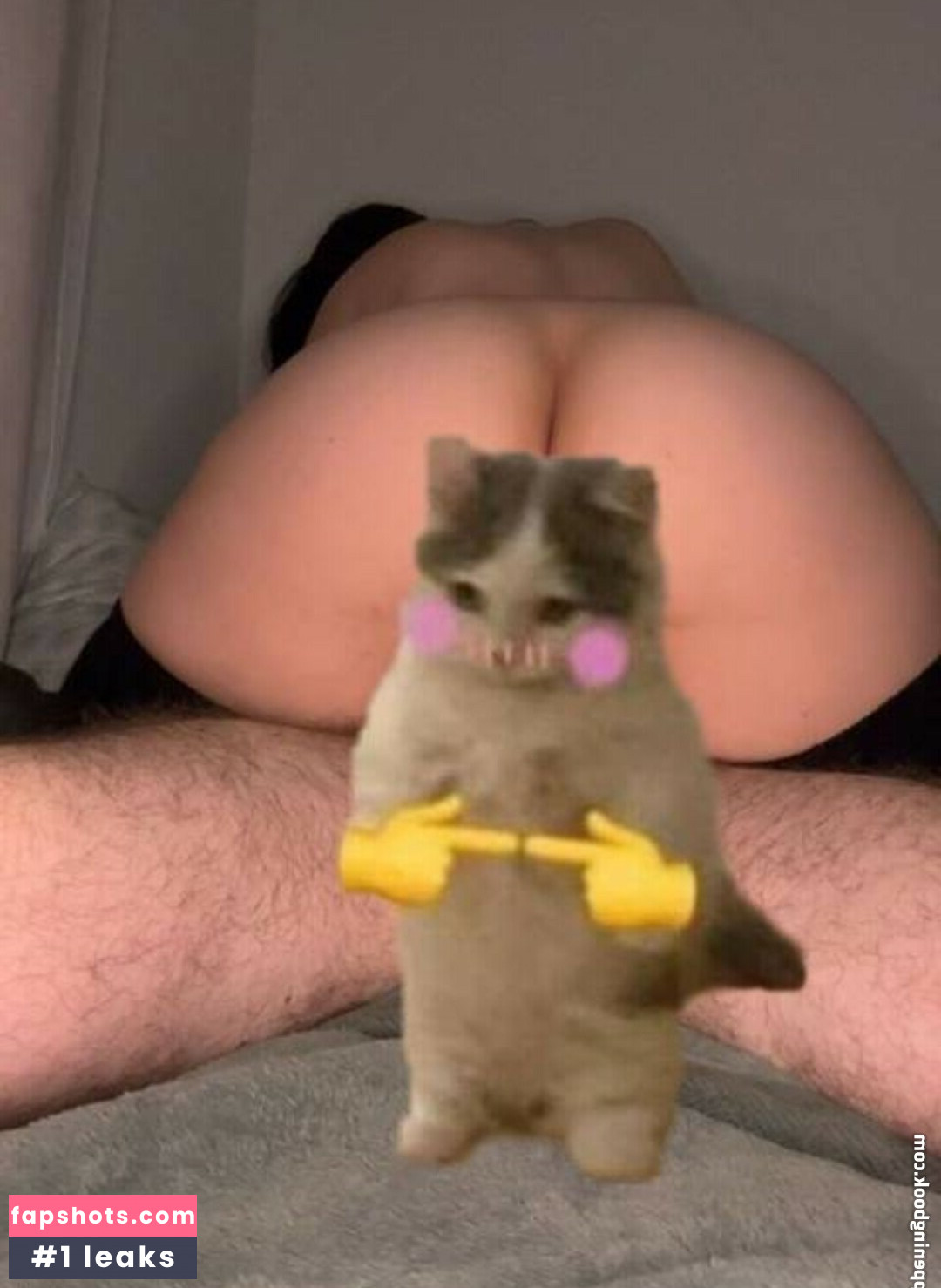 Succumich gallery photo #7