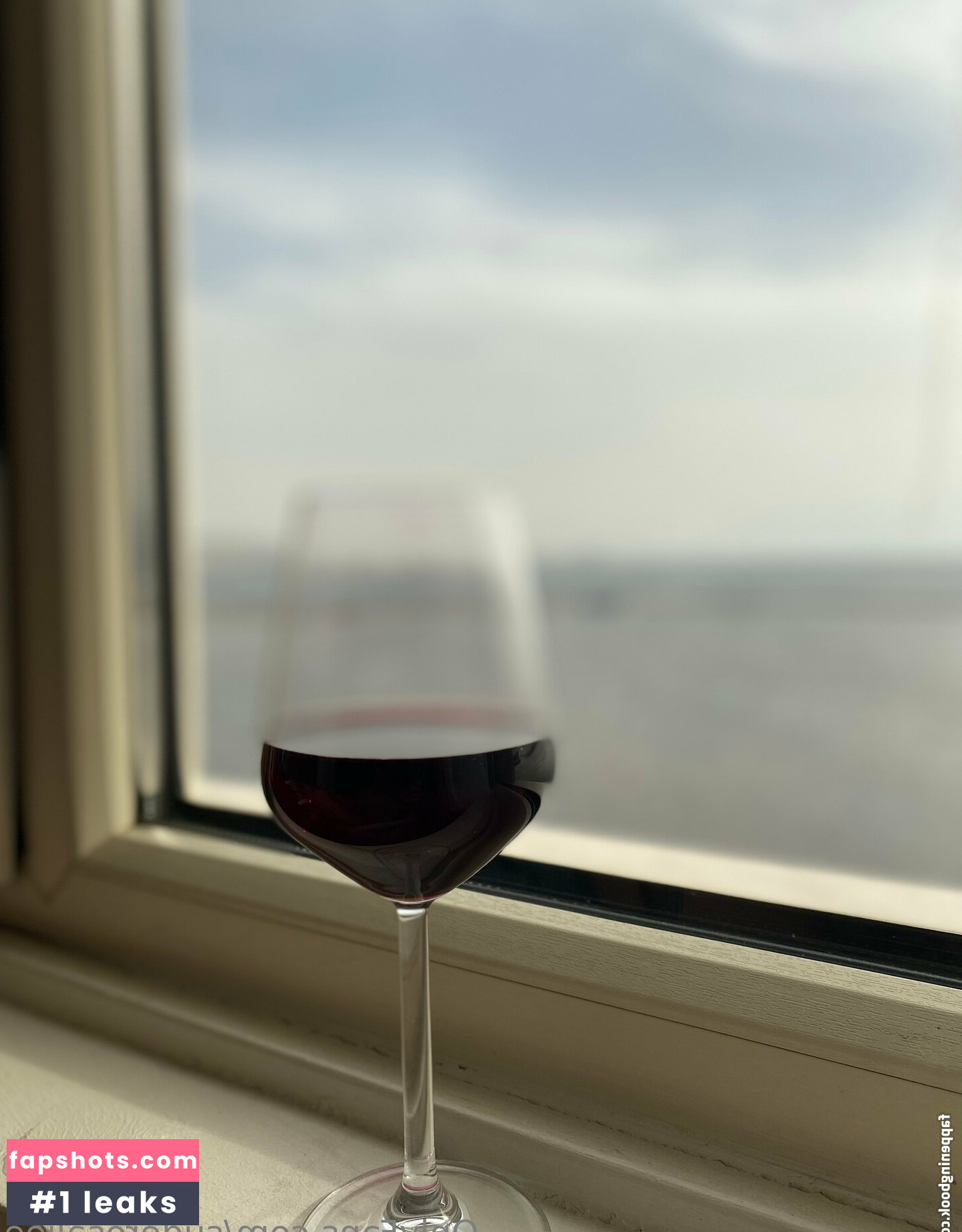 suderoselia gallery photo #12