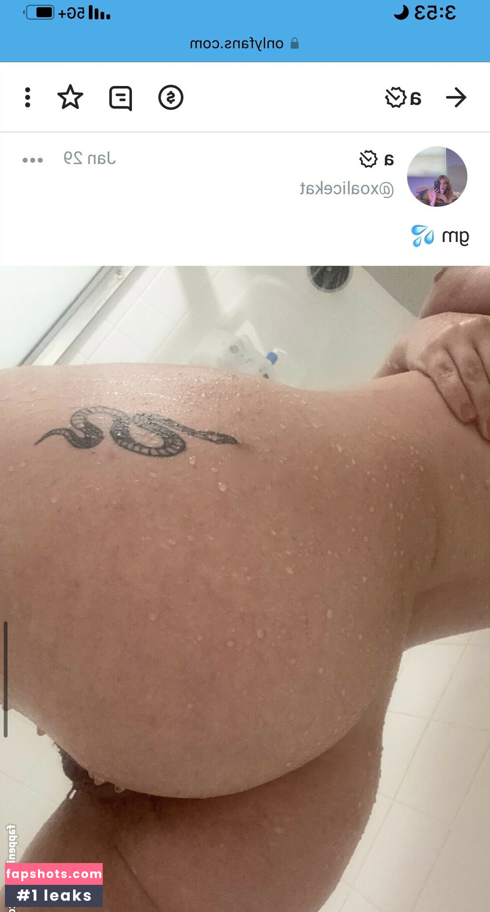 Sukashawty gallery photo #2