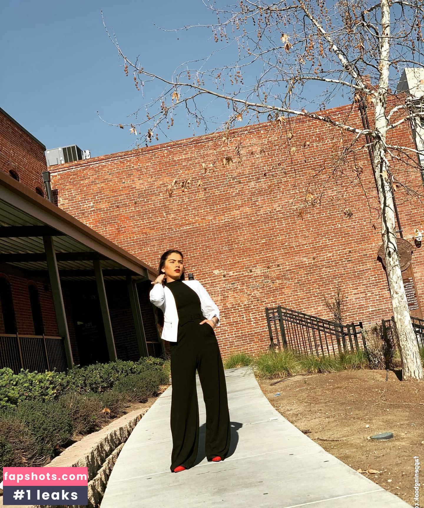 Sukh Bains gallery photo #13