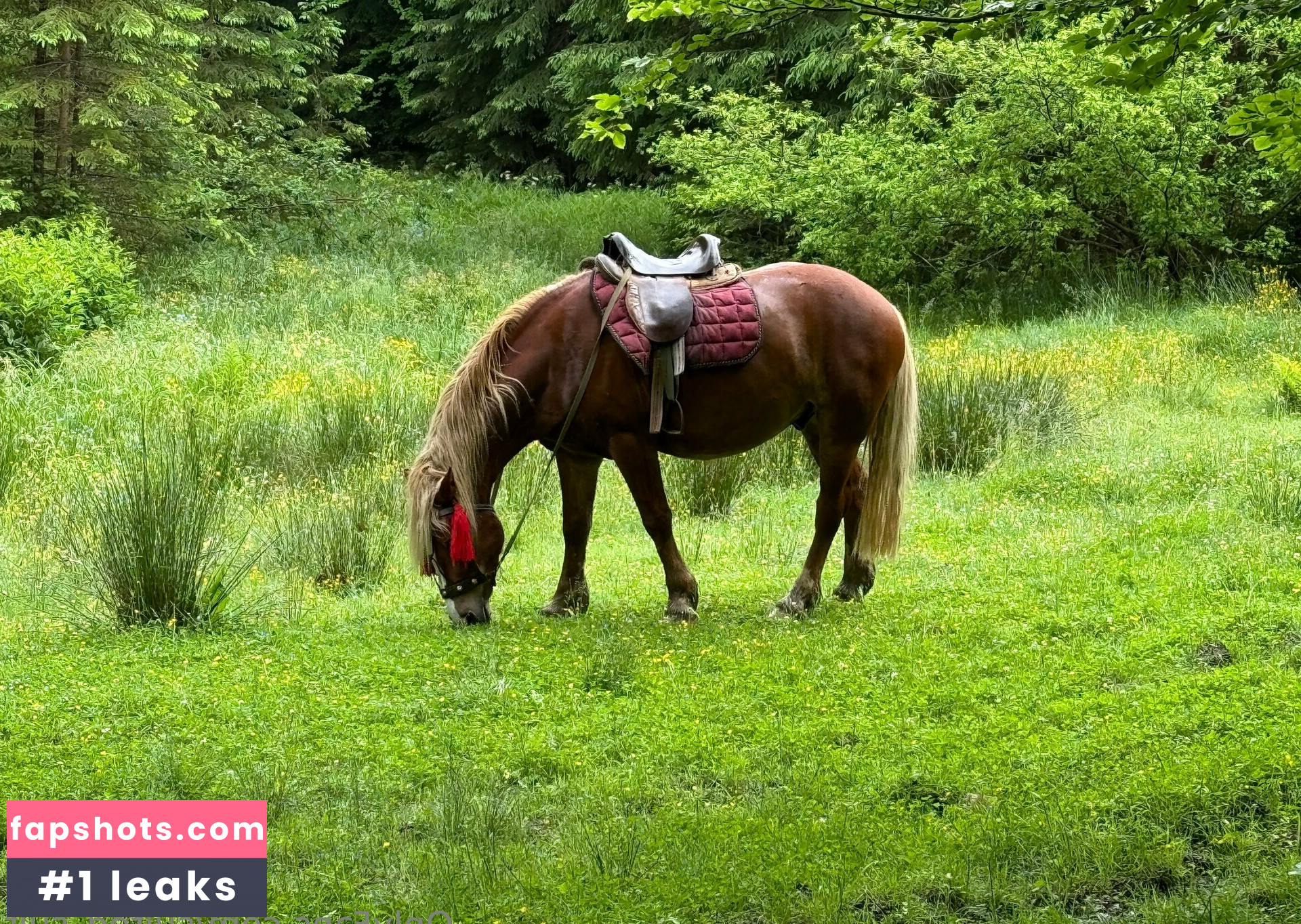 sulted_sult Nahé úniky fotek pouze od fanoušků #2 - Fapshots