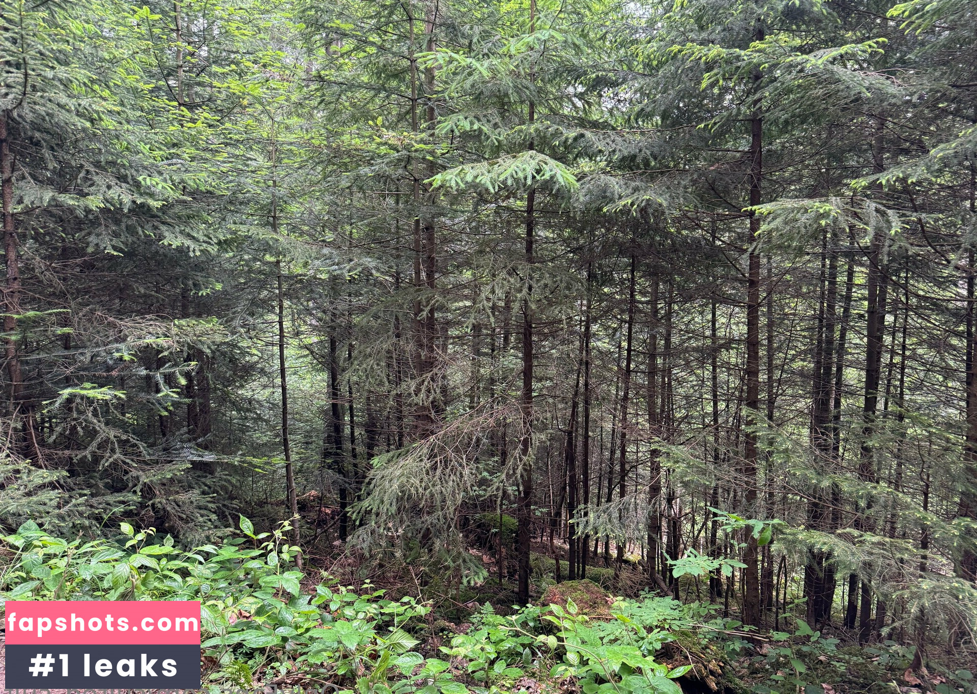 sulted_sult Nahé úniky fotek pouze od fanoušků #13 - Fapshots