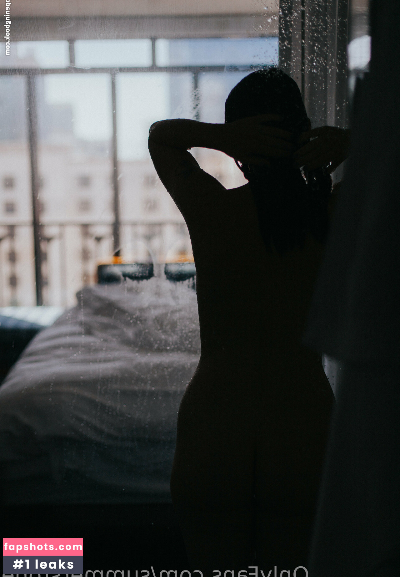 summerstone gallery photo #32