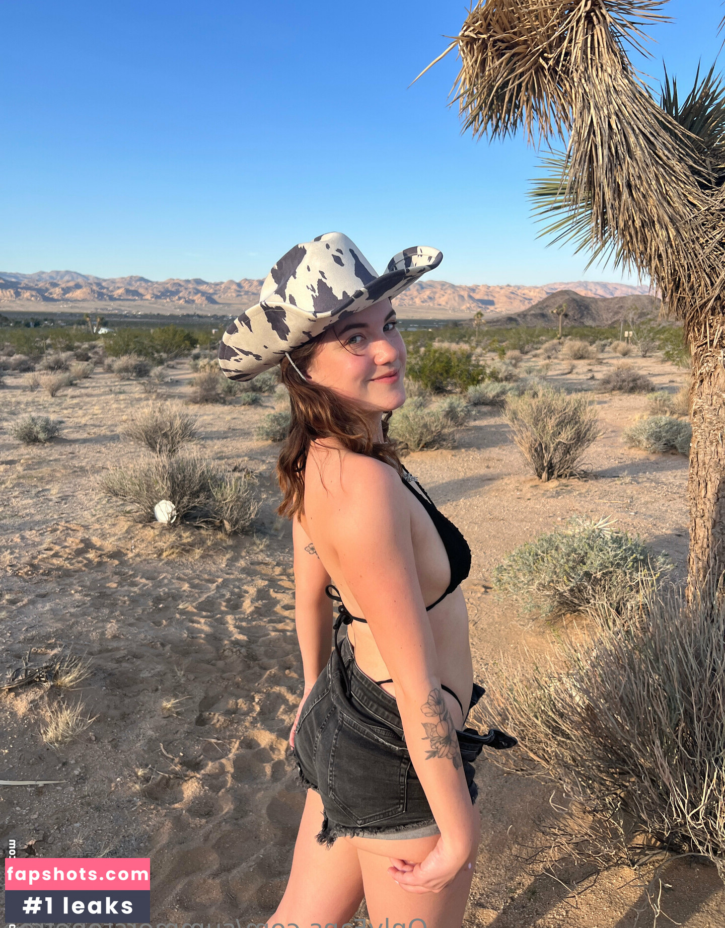 summerstonefree gallery photo #4