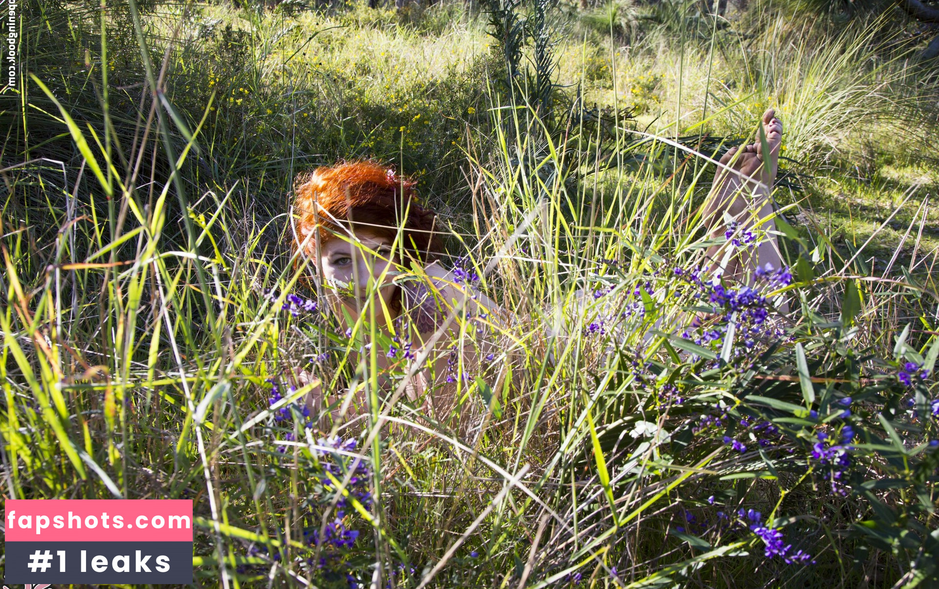 sunflower gallery photo #13