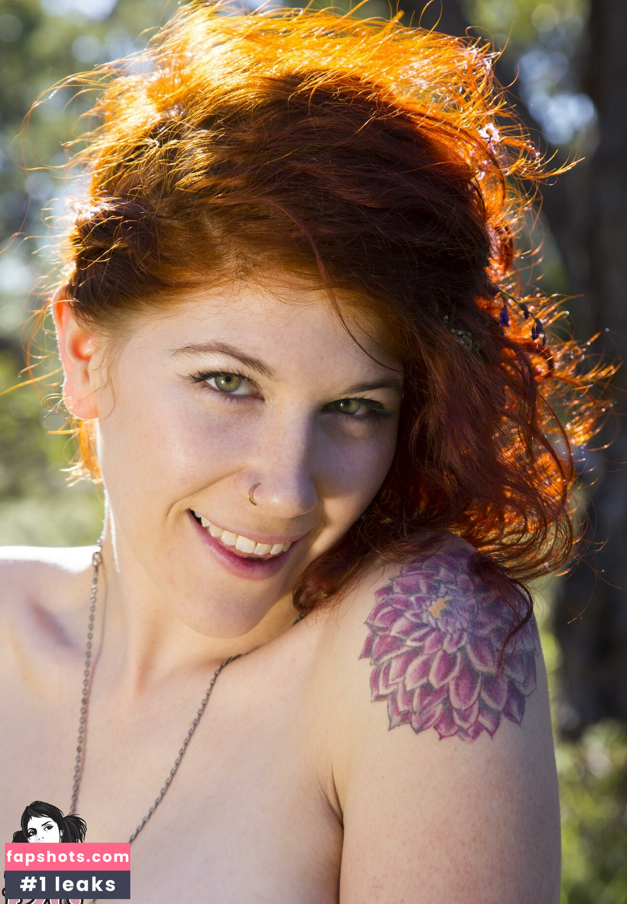 sunflower gallery photo #17