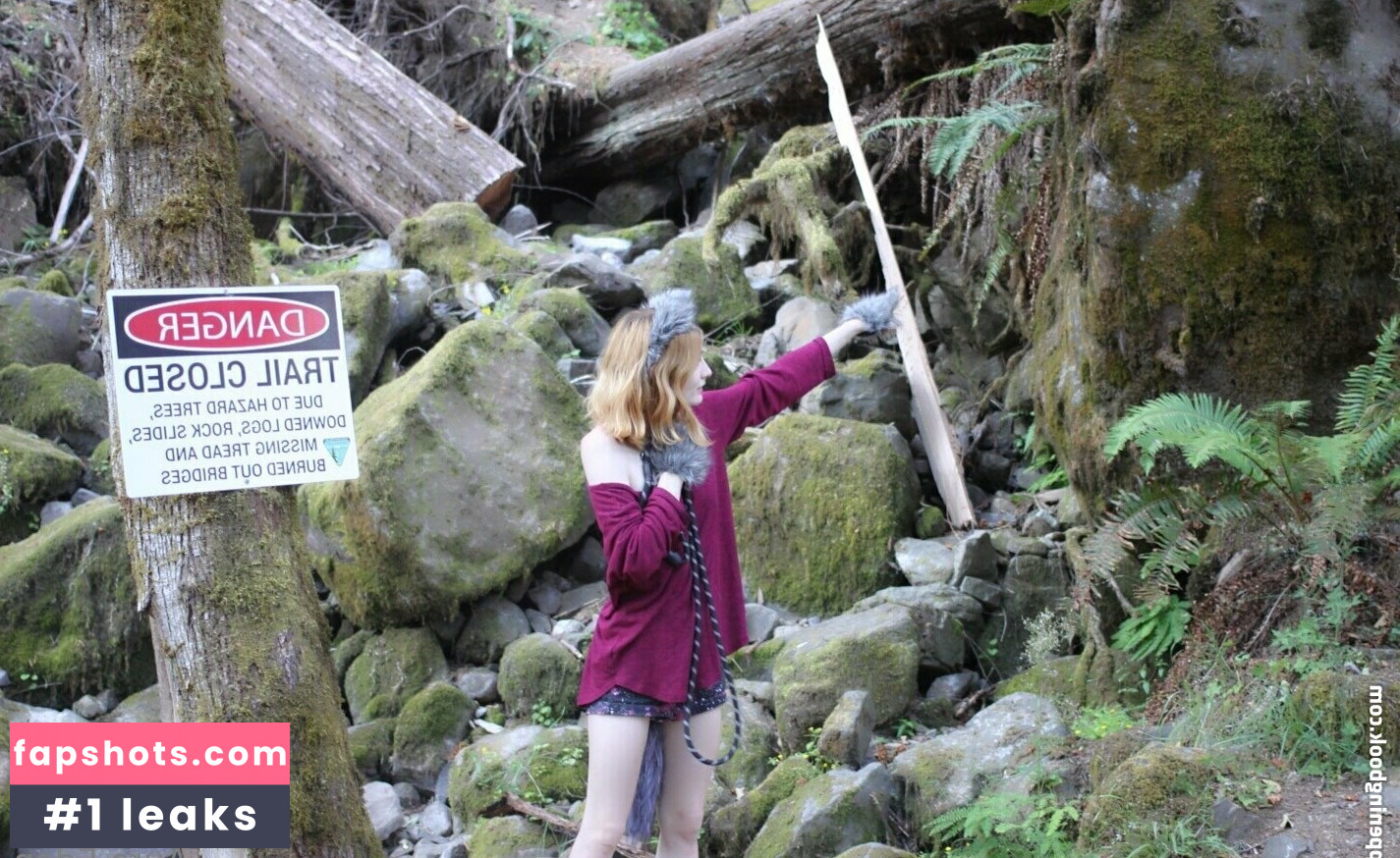 sunflowerseedling gallery photo #26