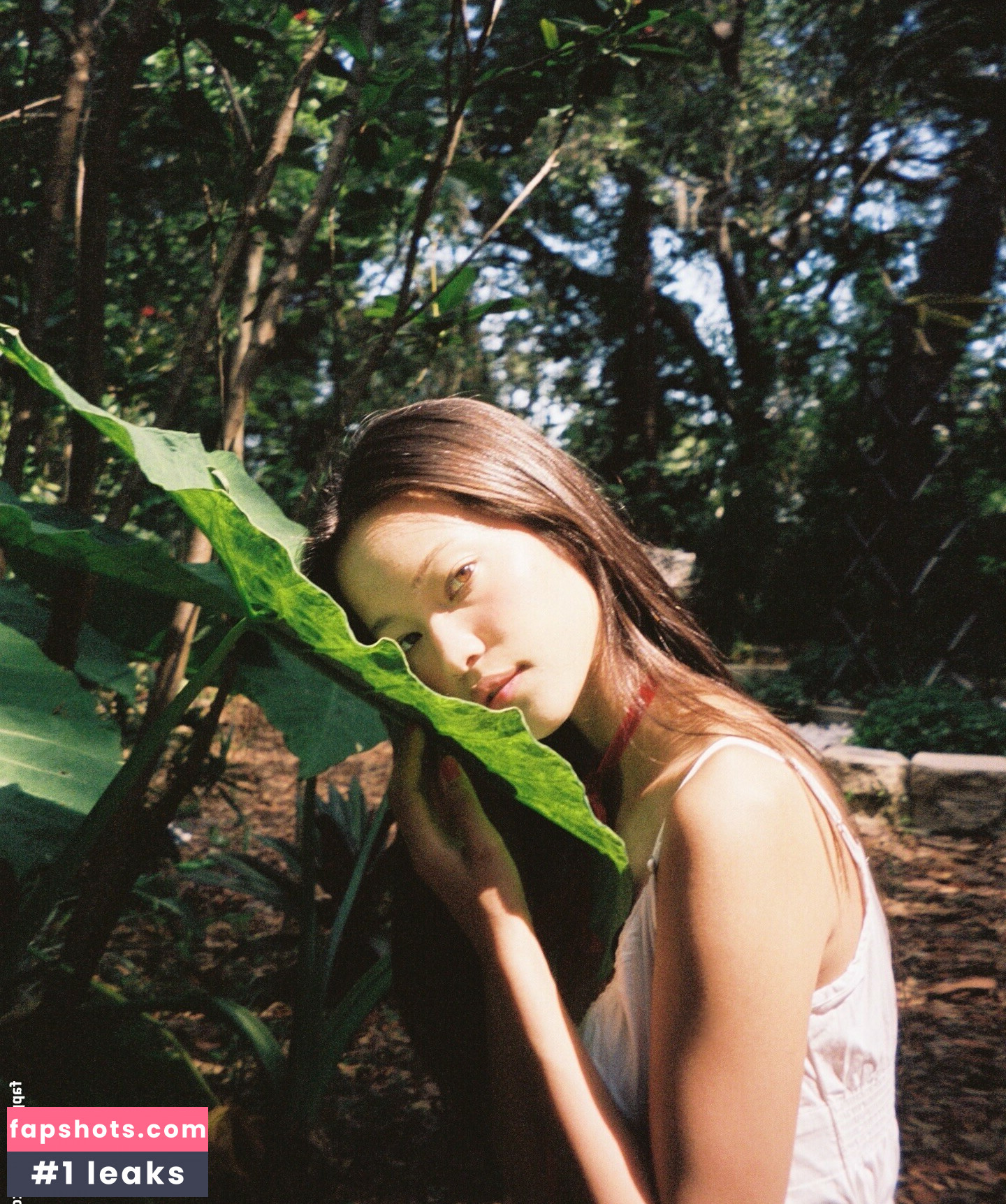 Sunjos asmr gallery photo #34