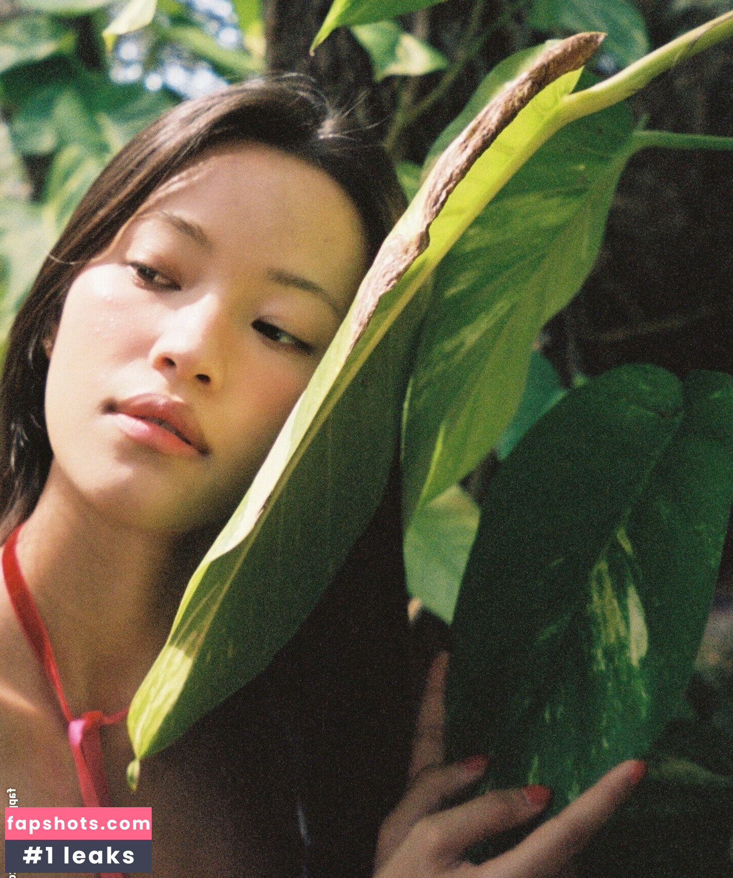 Sunjos asmr gallery photo #35