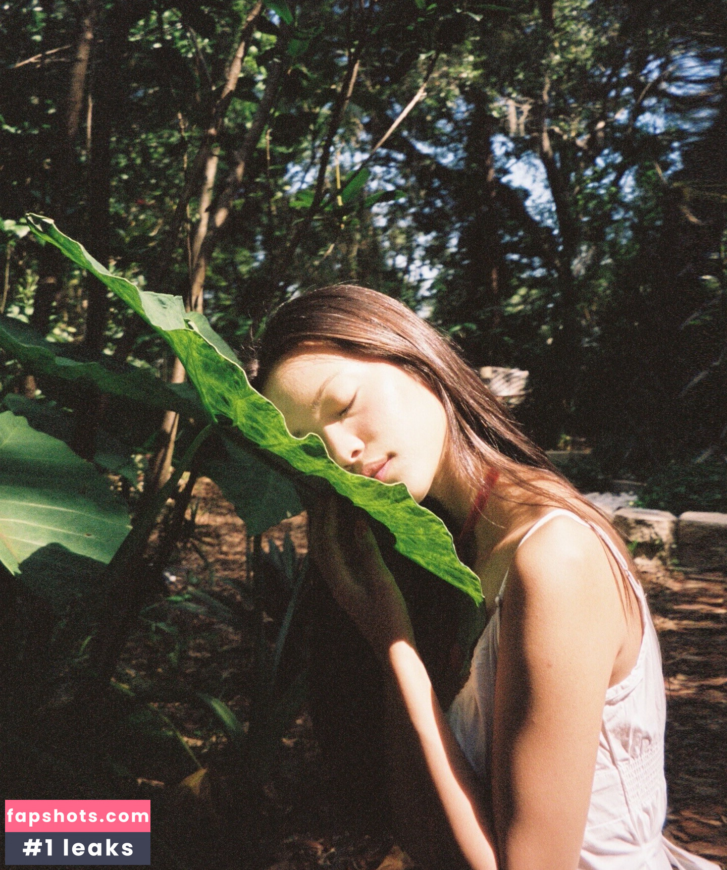 Sunjos asmr gallery photo #36