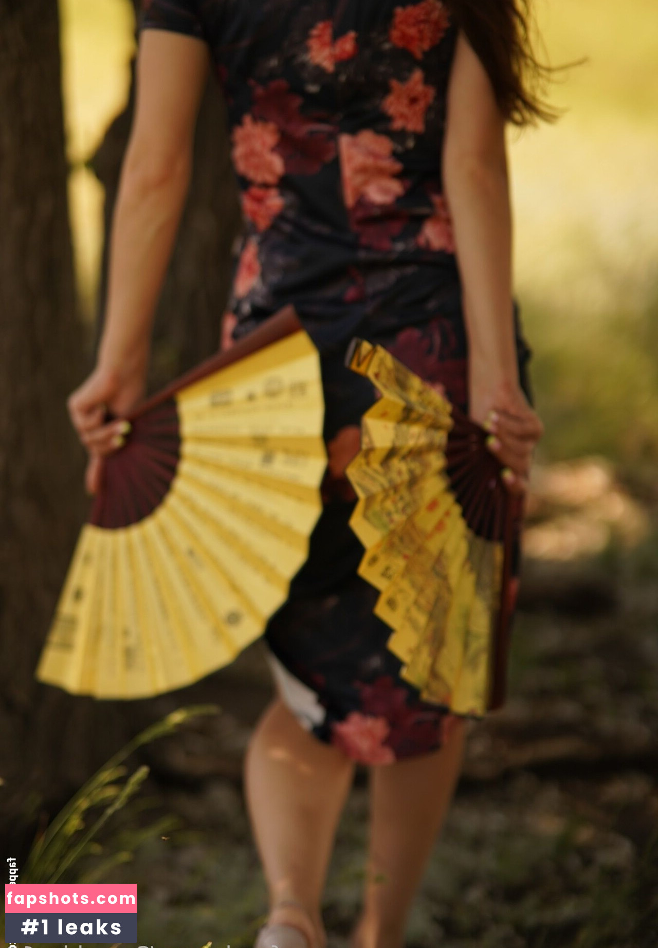 Sunshine13_ gallery photo #23