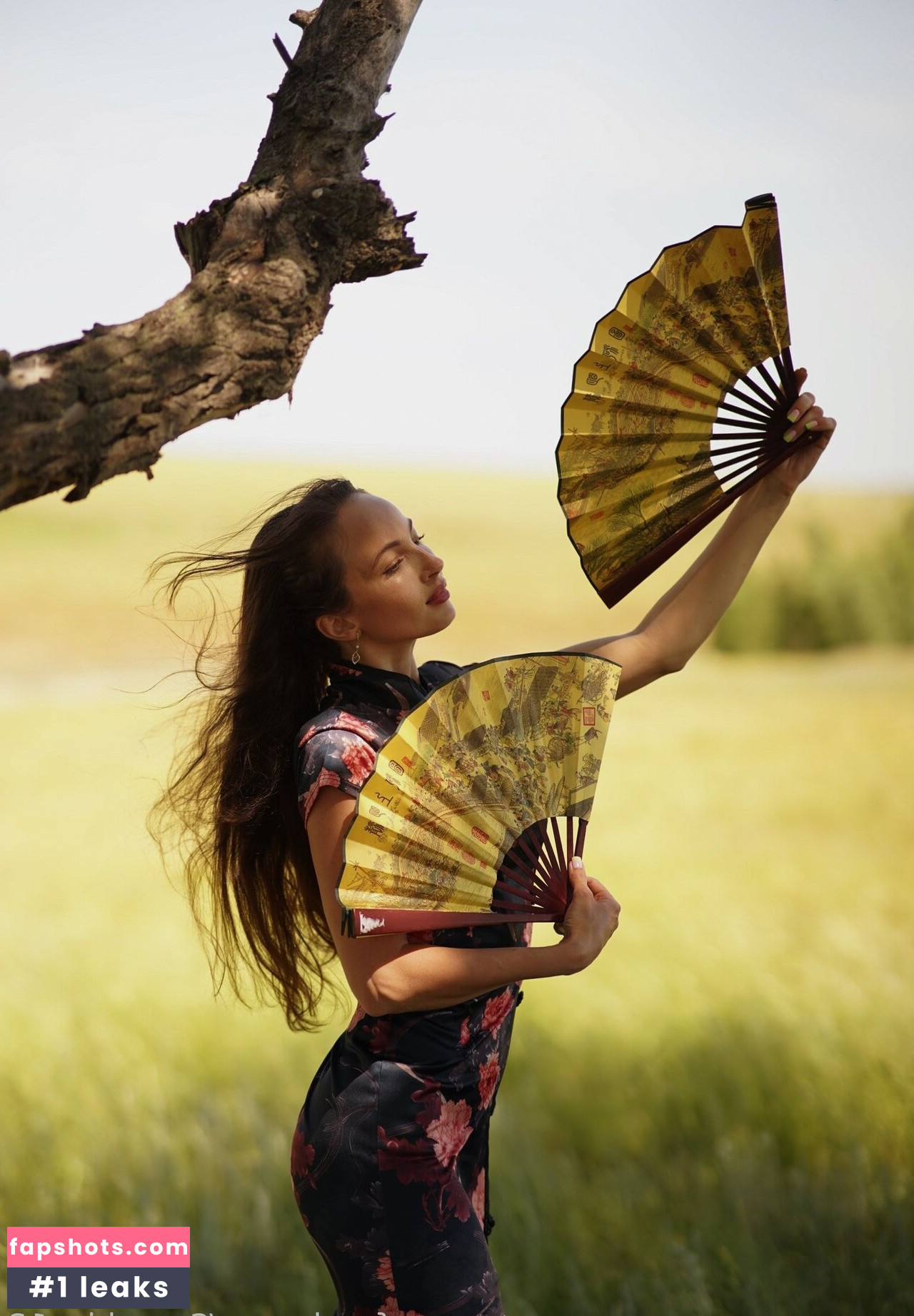 Sunshine13_ gallery photo #24