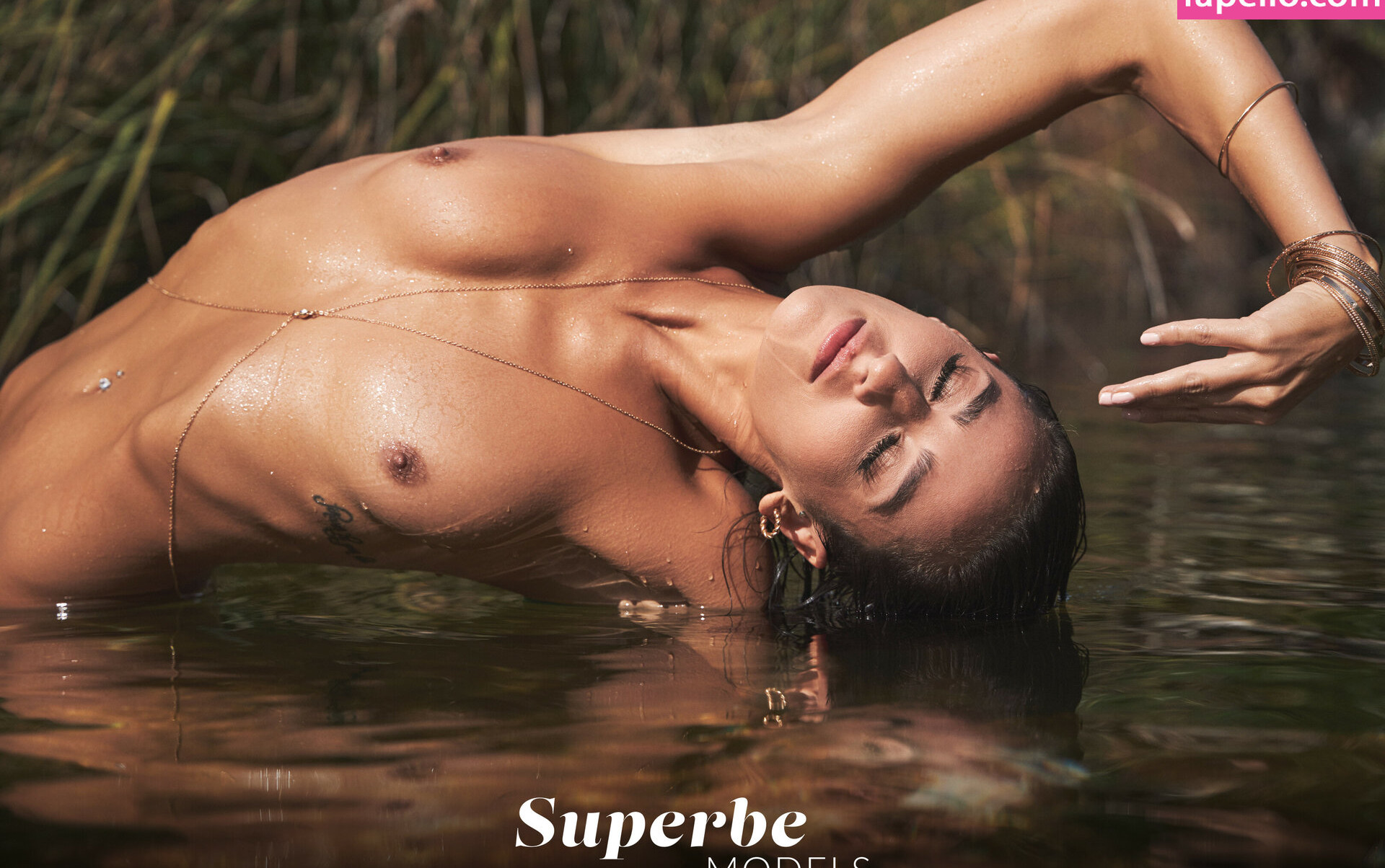 superbe gallery photo #495