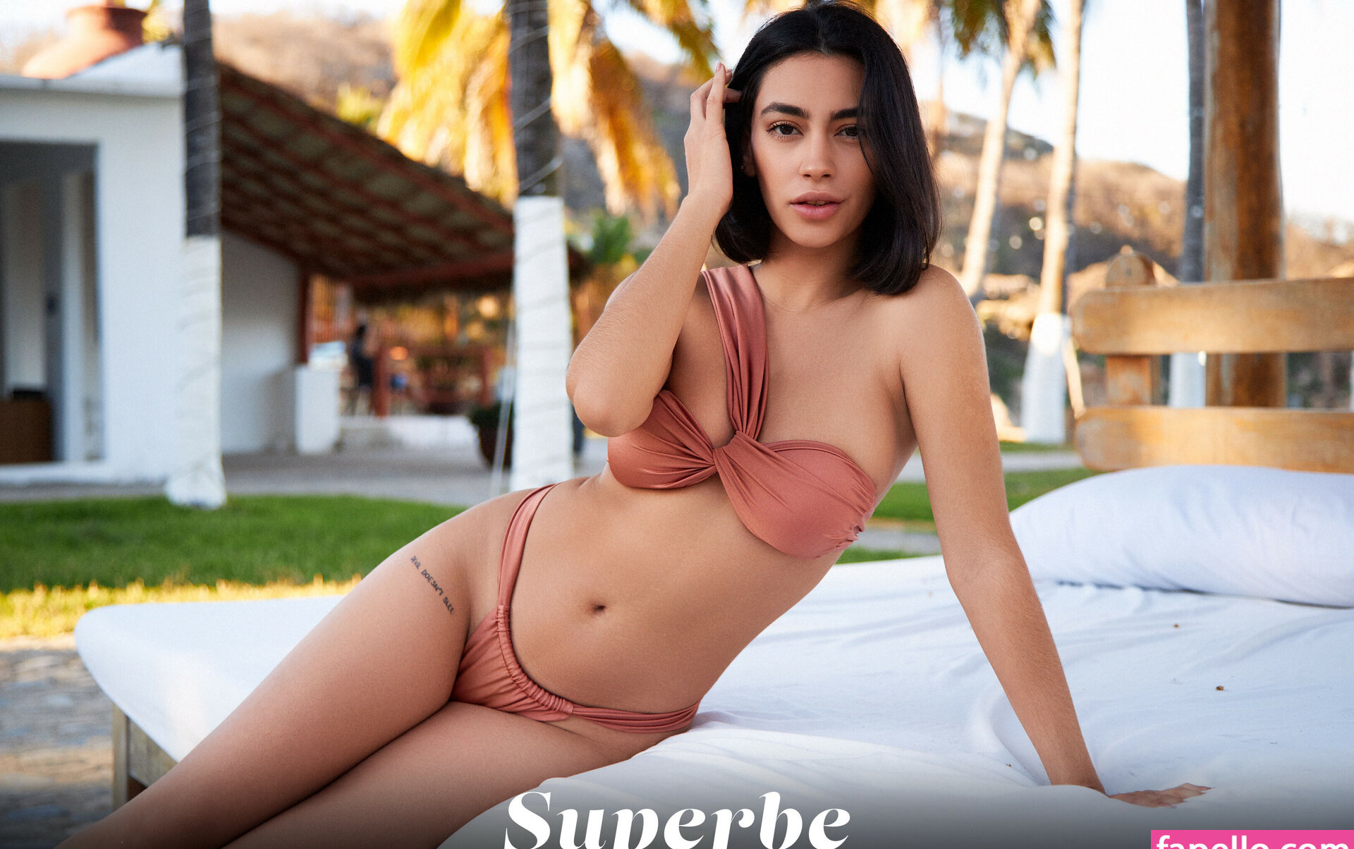 superbe gallery photo #568