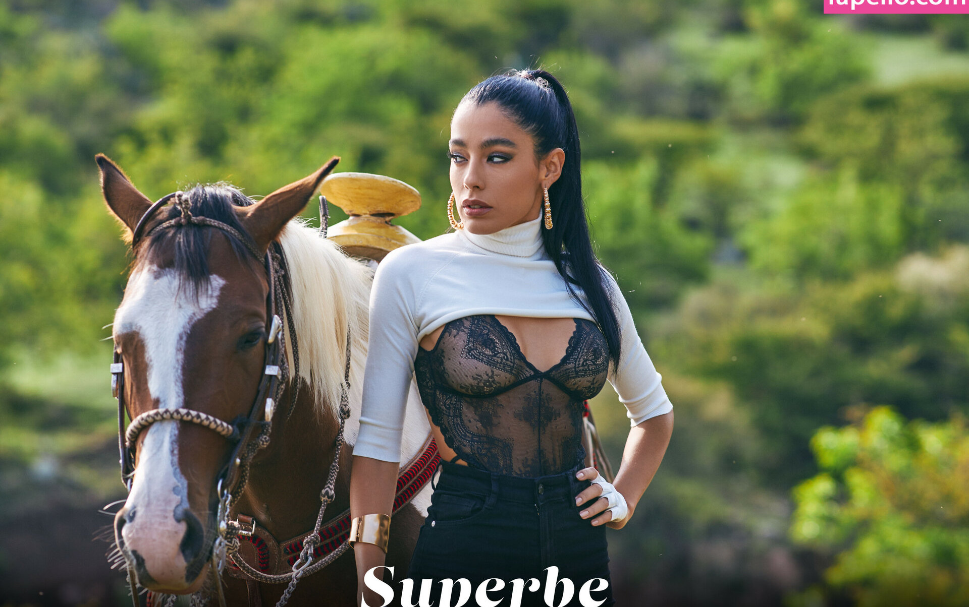 superbe gallery photo #617