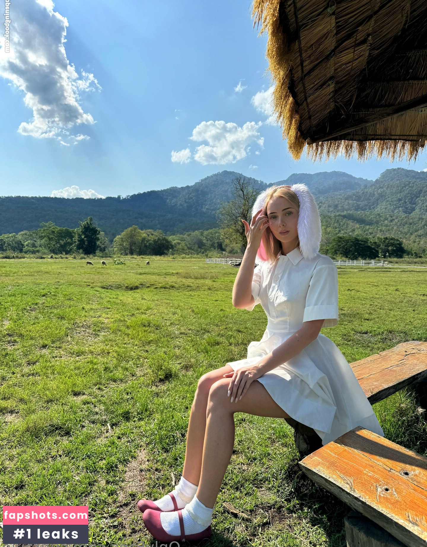 supravie gallery photo #8