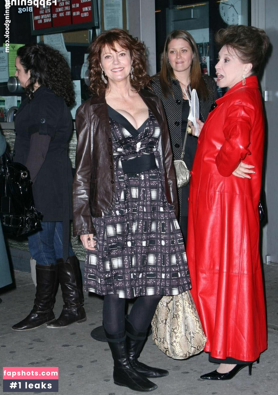 Susan Sarandon gallery photo #11