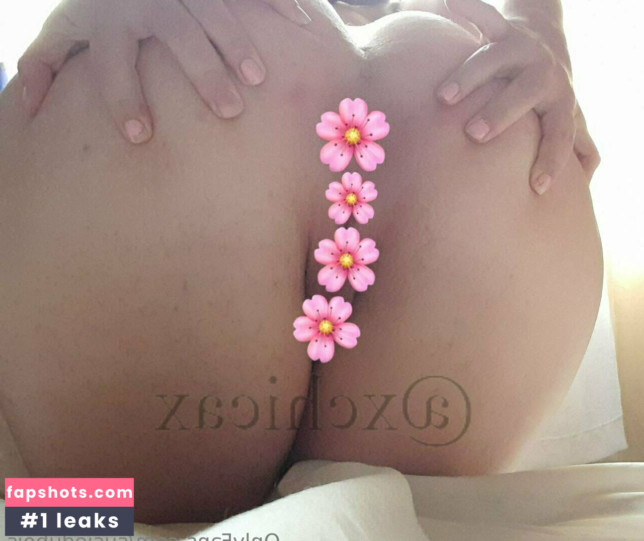 susiedubois gallery photo #14