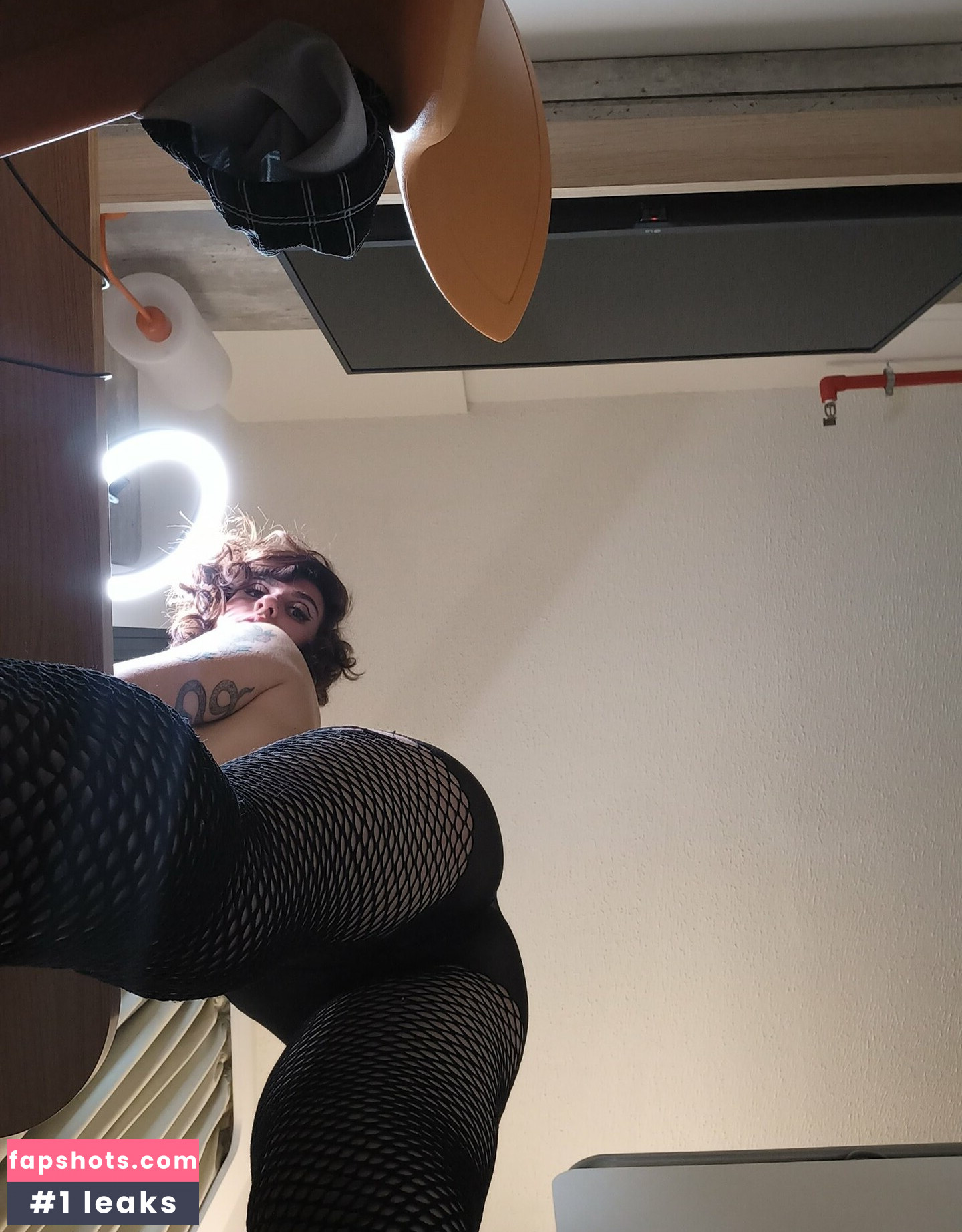 suvacocarnivoro gallery photo #7