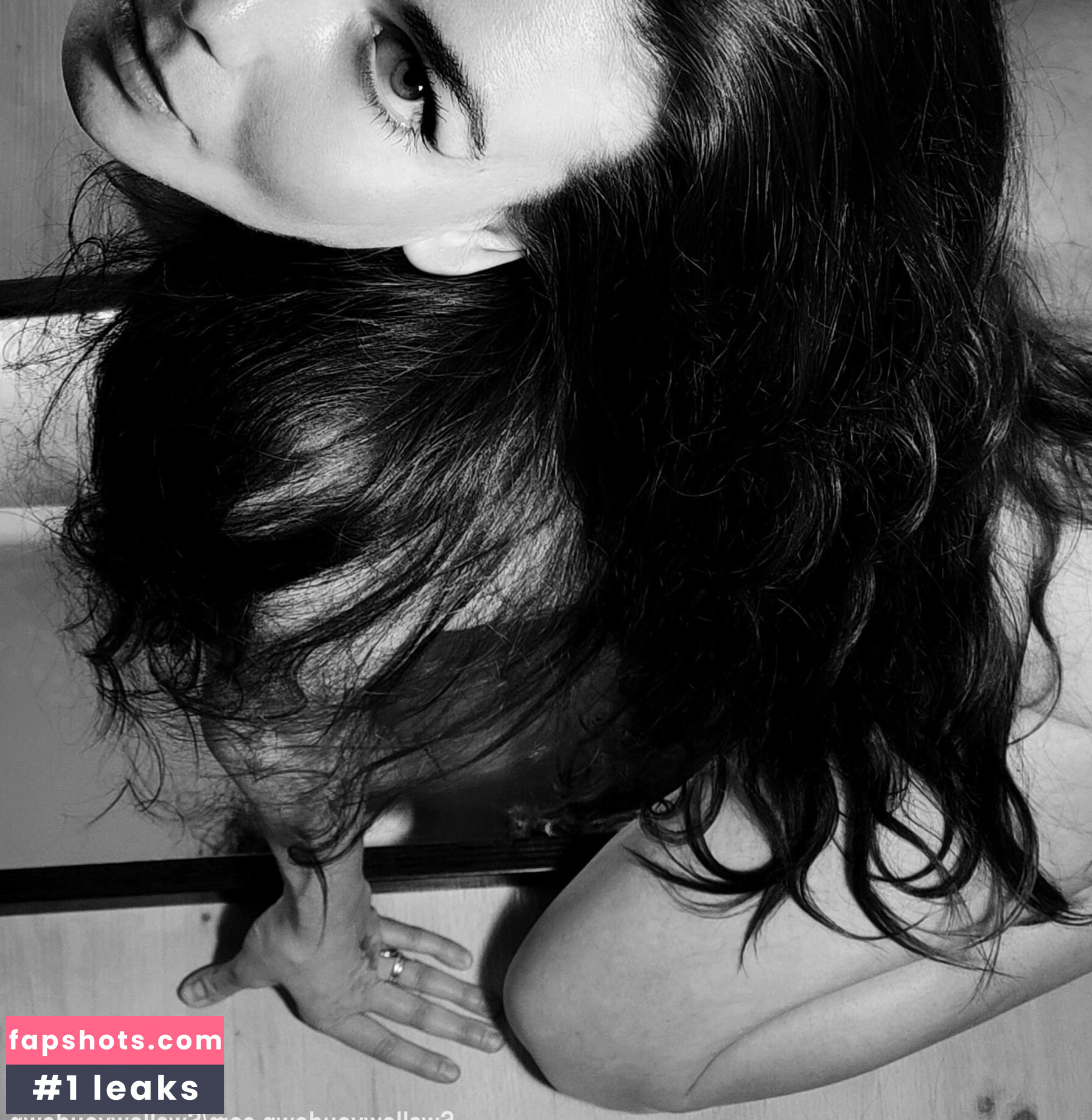 Swallowyoudown gallery photo #8