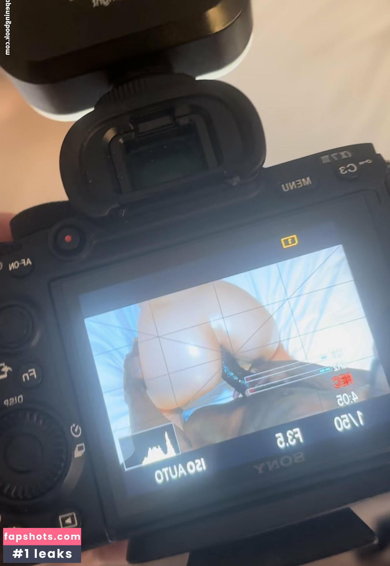 Swedish_vixen gallery photo #5