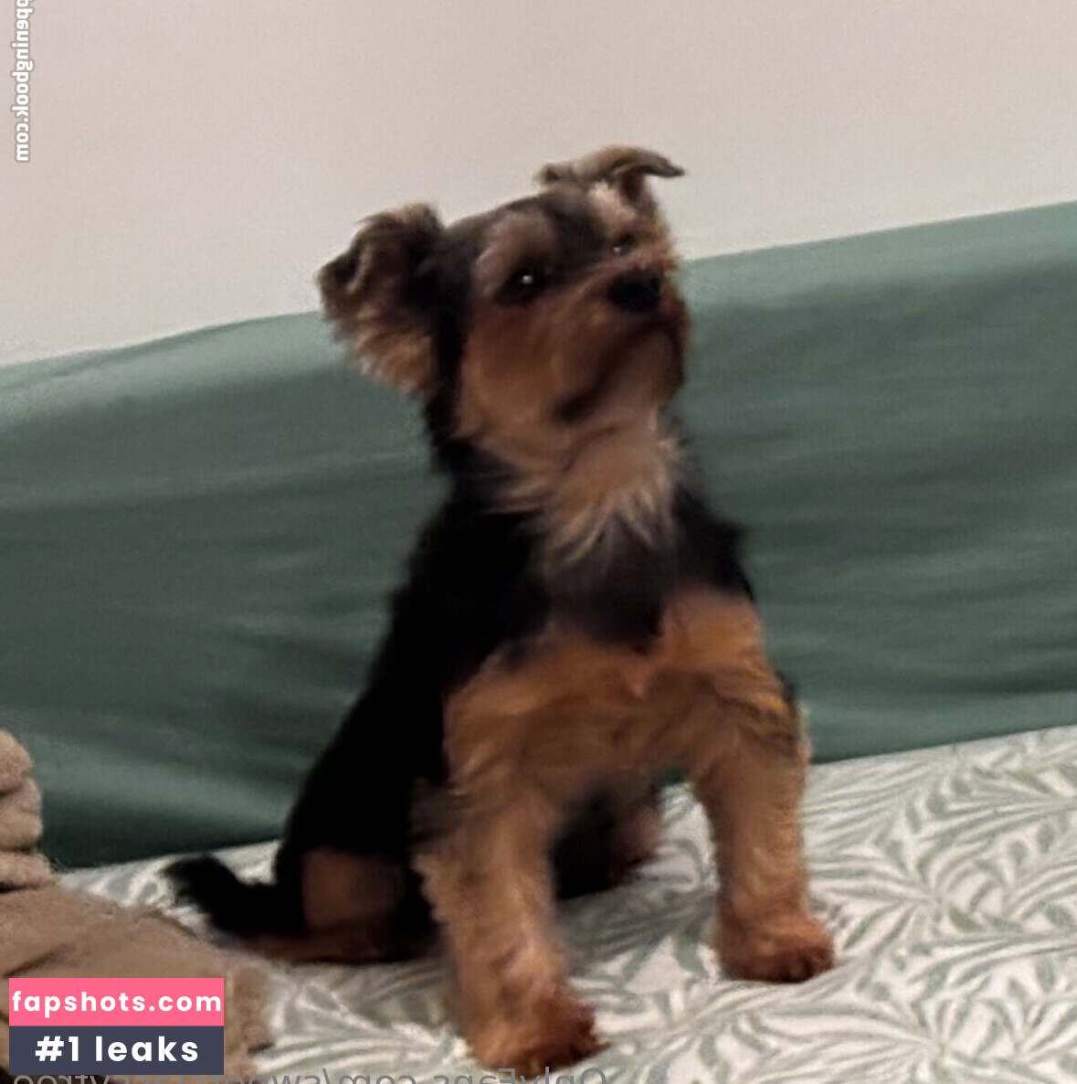 sweetclassyfree gallery photo #10