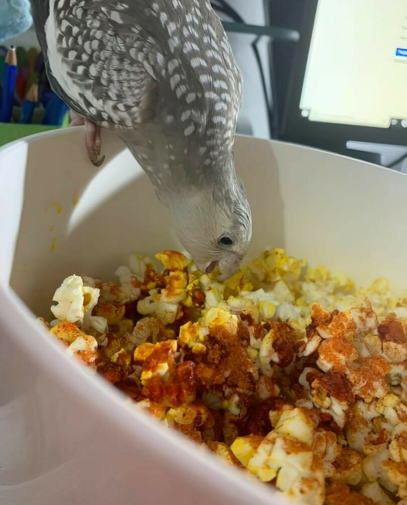 sweetieline gallery photo #706