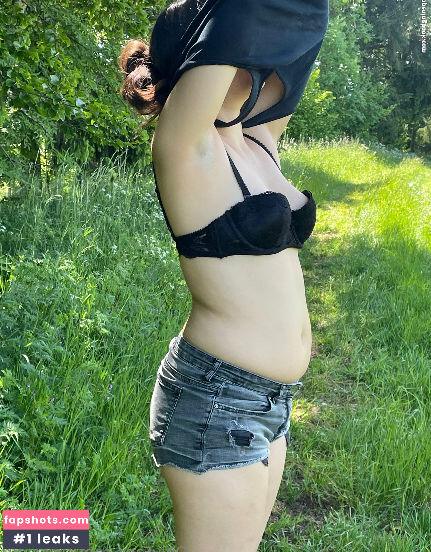 swiss-girl-vanessa gallery photo #13