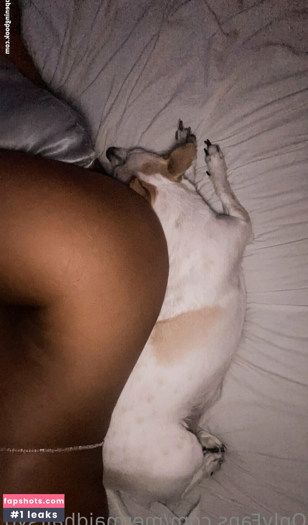 Sydney Fuller Marr gallery photo #22