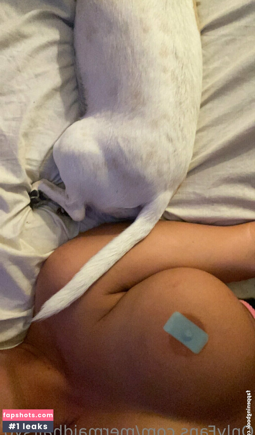 Sydney Fuller Marr gallery photo #24